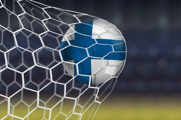 芬兰队的球飞进了网窝图片下载
