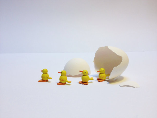 小鸡从蛋里出来图片下载