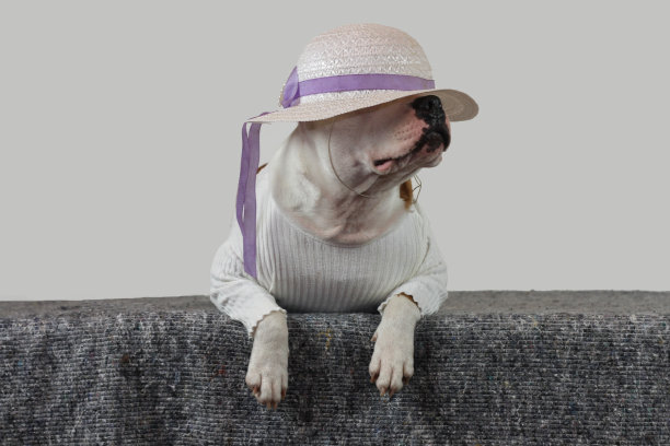 小熊维尼008图片下载