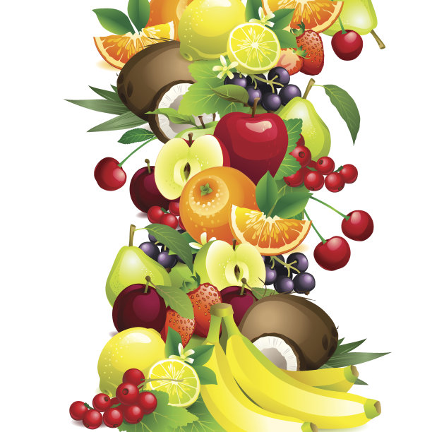 矢量图不同的水果与叶和花图片下载