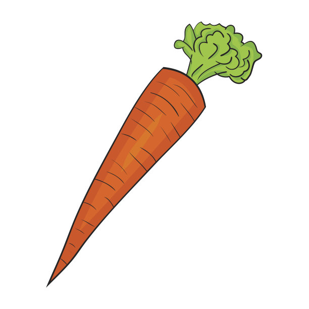 孤立卡通胡萝卜插图图片下载