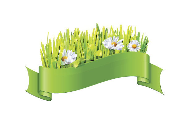 绿丝带上的草和大花图片下载