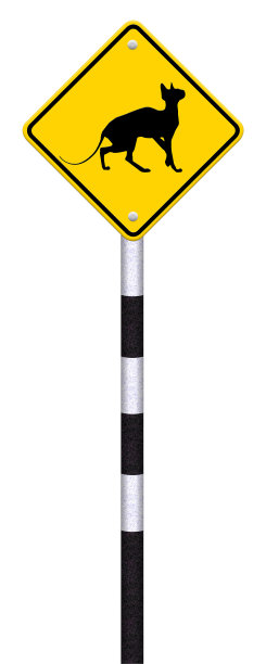 小心猫过马路，这是系列的一部分图片下载