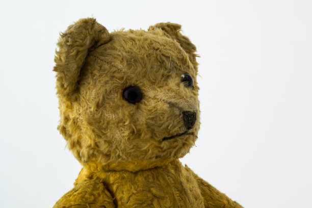 一个老泰迪熊的头图片下载