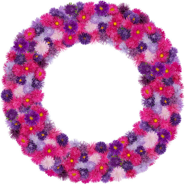 圆圆的相框从温柔的秋天紫罗兰和粉红色紫苑花。孤立在白色图片下载