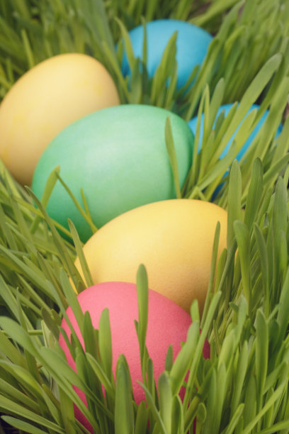 复活节彩蛋藏在草地上的特写照片图片下载
