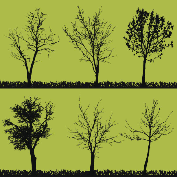 树的矢量剪影。图片下载