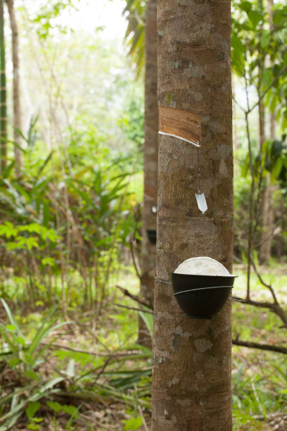 利用乳胶图片下载