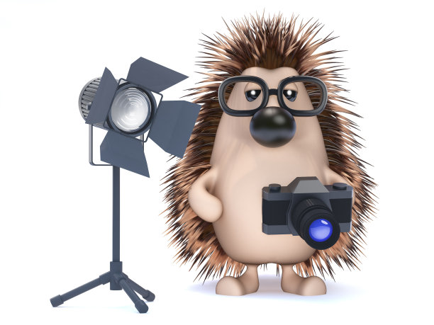 3 d摄影师刺猬图片下载