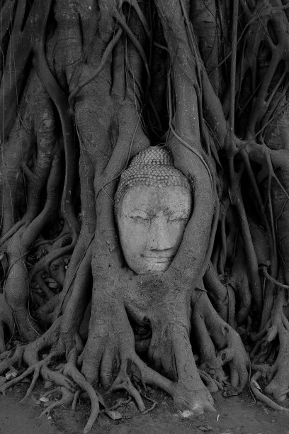 佛像的头像图片下载