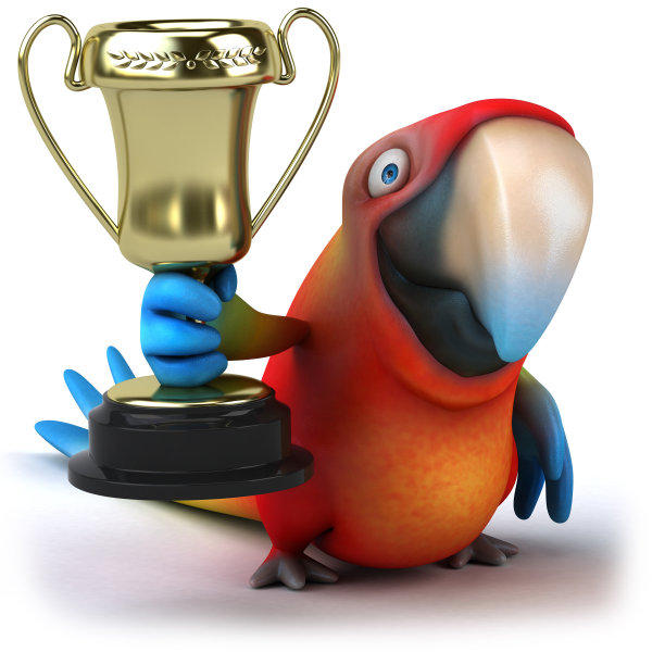 有趣的鹦鹉图片下载