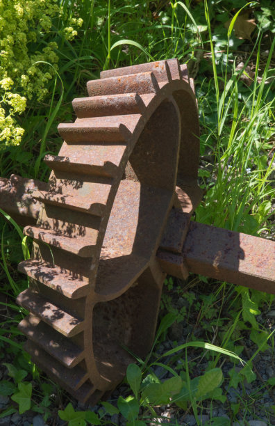 杂草中的锥齿轮图片下载