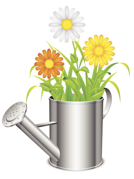 喷壶和花。图片下载