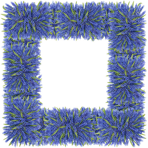 春天广场，青蓝花相框制成的春天风信子(麝香)花。孤立的手工拼贴概念图片下载