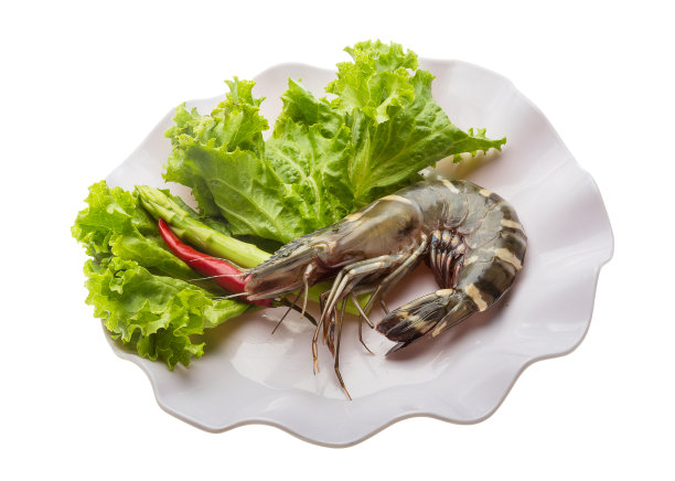 老虎虾图片下载