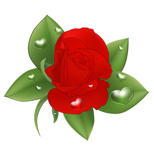 红玫瑰，滴着心的形状图片下载
