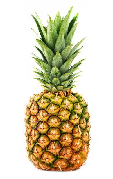 菠萝图片下载