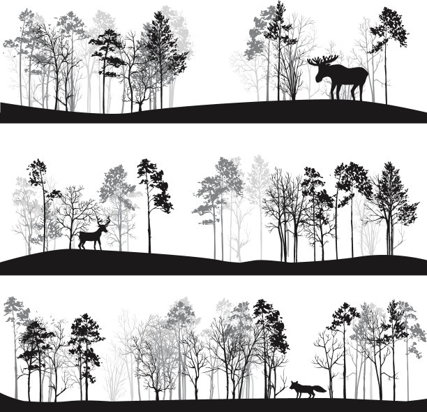 一组不同的景观与树木和动物图片下载