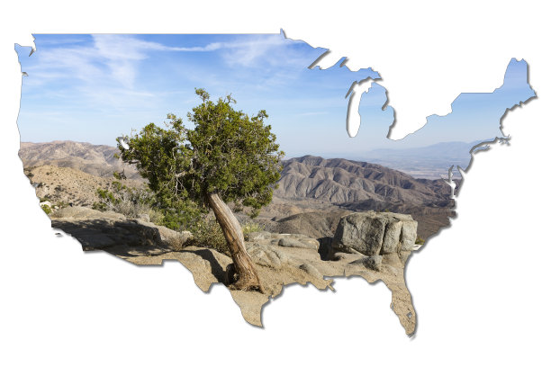 一棵树对抗着圣安德烈亚斯断层，形状酷似美国图片下载