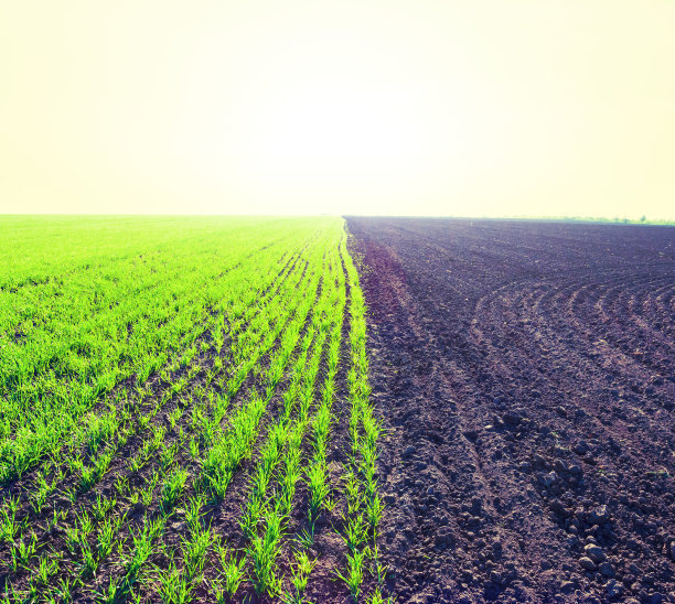 春季农业场景图片下载