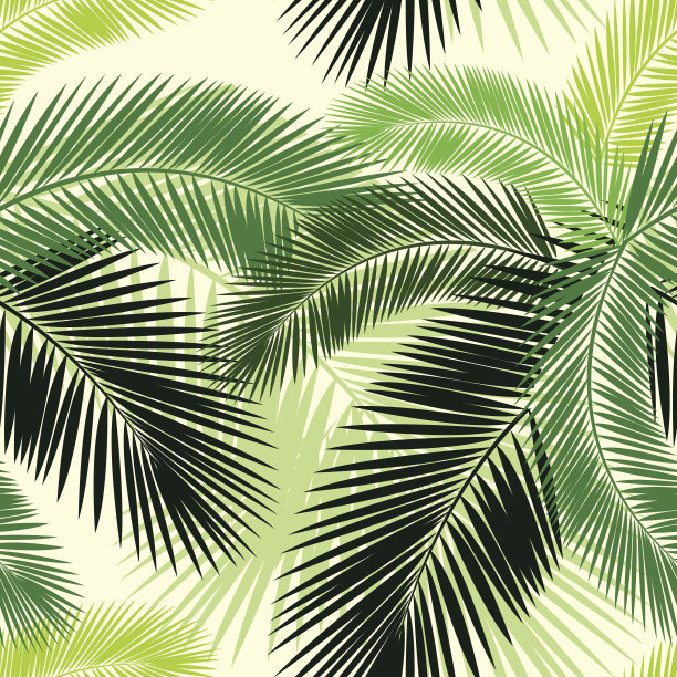 无缝彩色棕榈叶图案素材图片