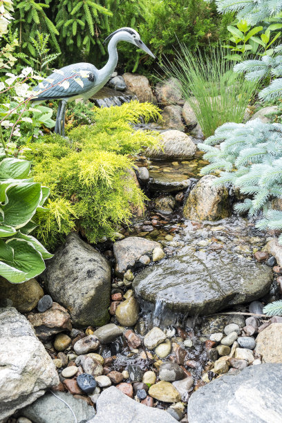 花园中的小溪图片下载