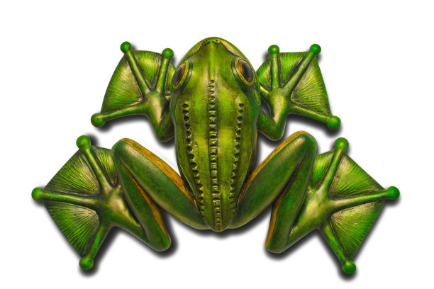 玩具青蛙图片下载