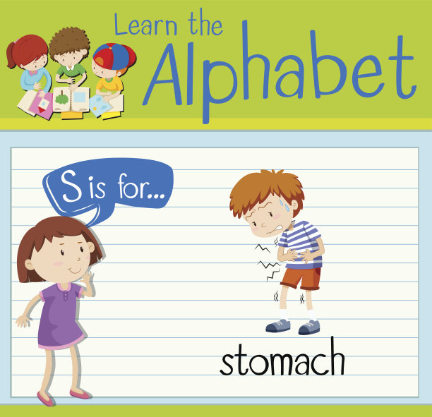 识字卡片上的S代表胃图片下载