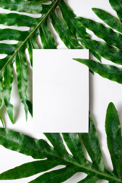 树叶图片素材ID：140978386