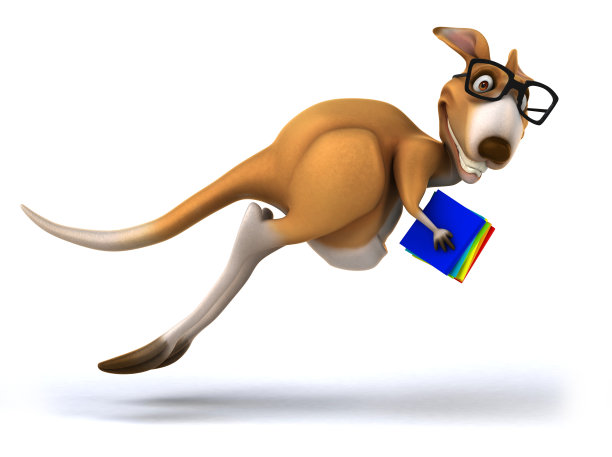 有趣的袋鼠图片下载