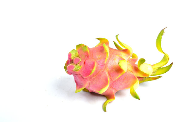 孤立的火龙果图片下载