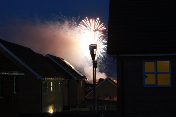 烟花夜图片下载