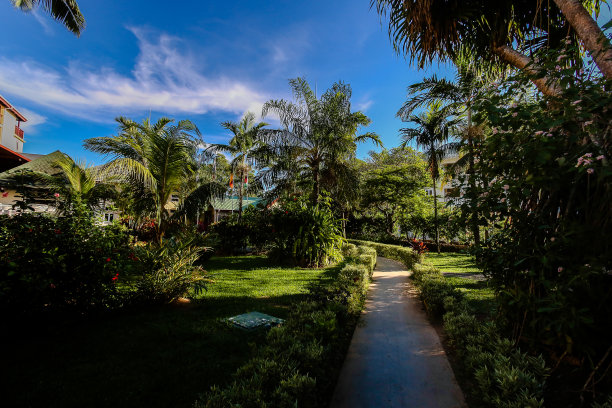 热带风景图片下载