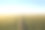 夏季景观(玉米地)图片下载
