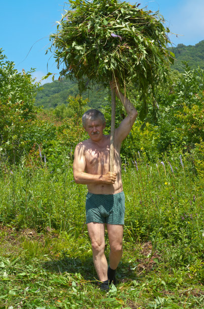 男人拿着干草图片下载