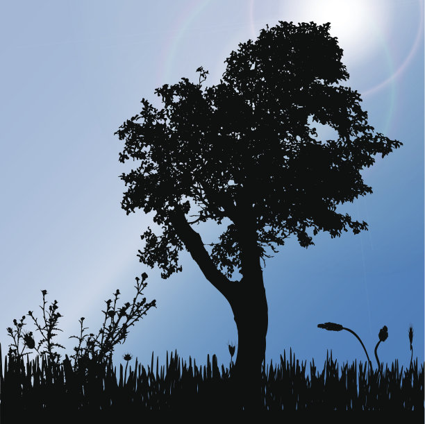 树的矢量剪影。图片下载