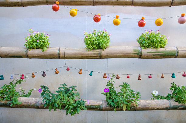 美丽现代的垂直花园，家居装饰图片下载