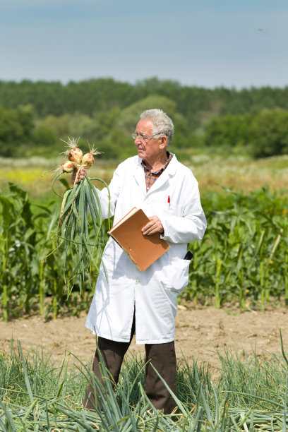 农学家和洋葱图片下载