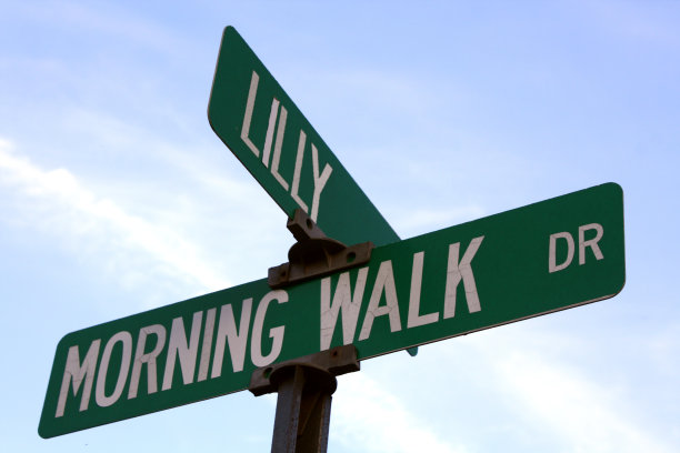 莉莉巷的安逸大街图片下载