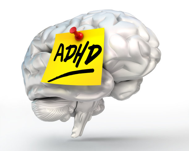 注意缺陷多动障碍(Adhd)的黄色标记在大脑上图片下载