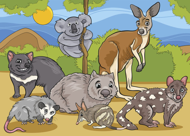 有袋动物卡通插图图片下载