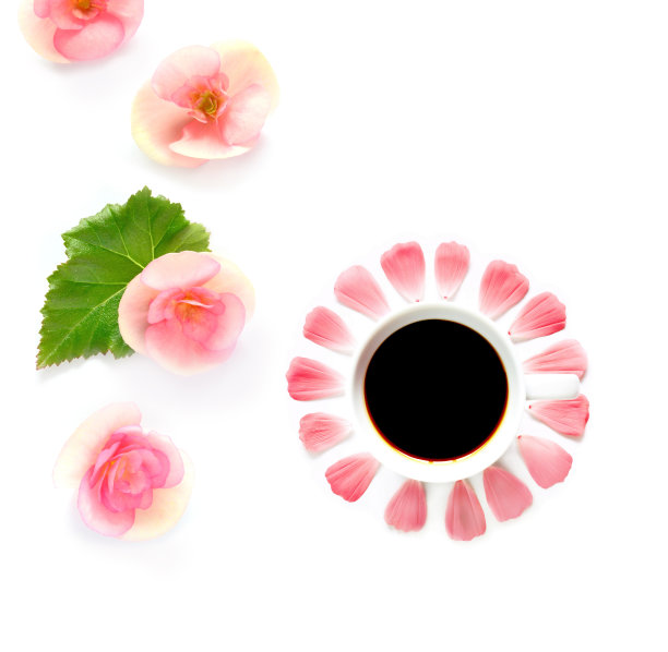 一杯白底上的咖啡和玫瑰图片下载