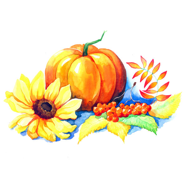 明信片的秋天季节与鲜花图片下载