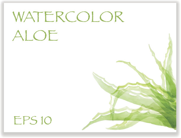 角落里有水彩芦荟图片下载