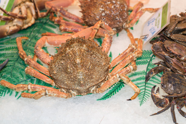 巴塞罗那利市场图片下载