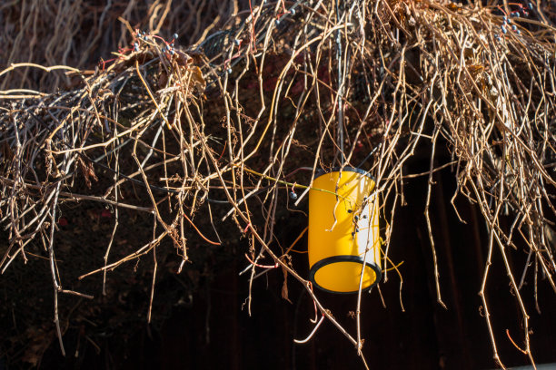 用于室内装饰的旧式顶灯图片下载