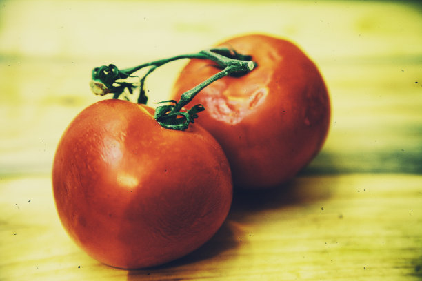 西红柿图片下载