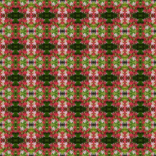 奇妙的春花盛开得天衣无缝图片下载