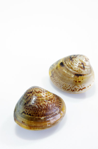 哈马古里图片下载