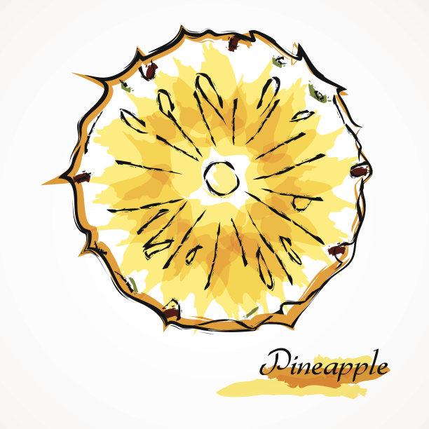 菠萝水果切片图片下载